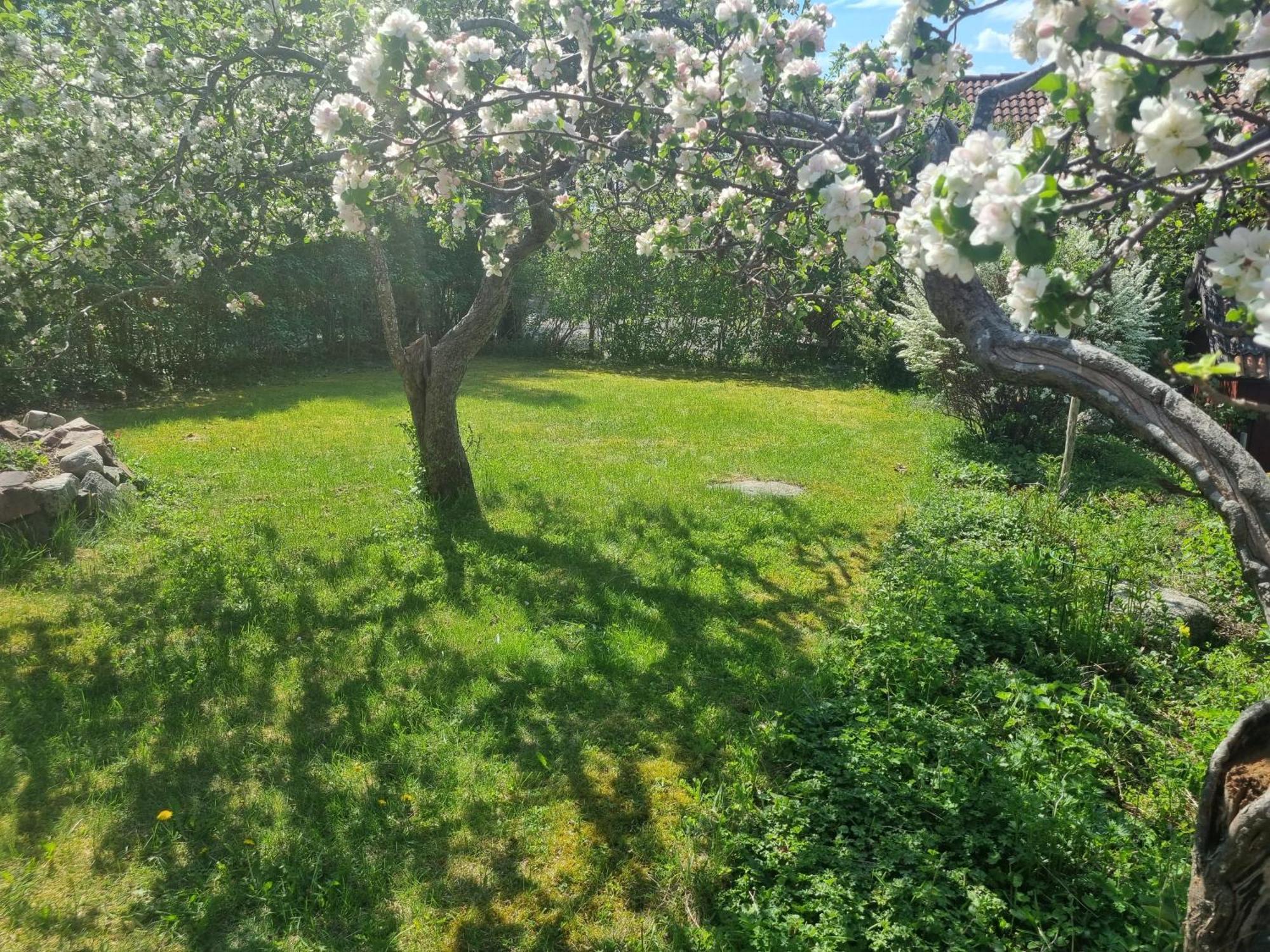 Saellinge House - Cozy Villa With Fireplace And Garden Close To Uppsala Exteriér fotografie